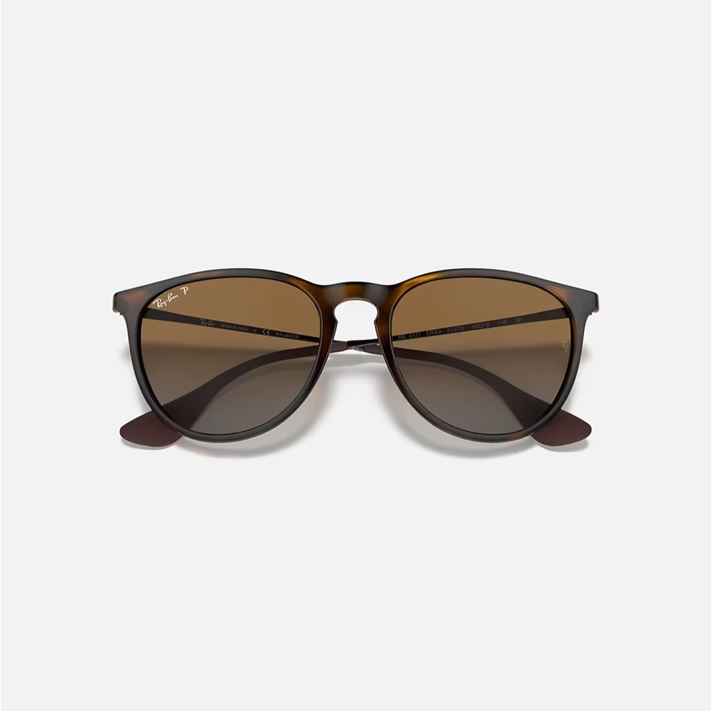 Erika Classic Ray-Bans